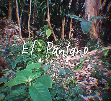 Cover of the album El Pantano